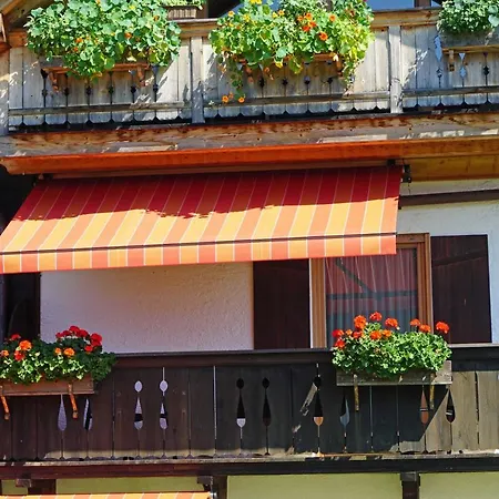 Haus Zauner 3* Reit im Winkl