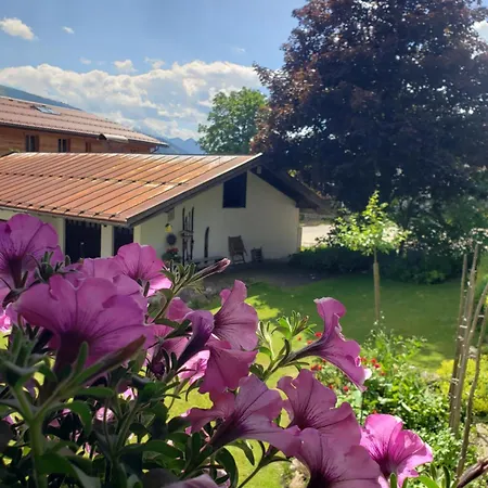 Haus Zauner Guest house