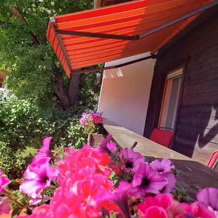 Haus Zauner 3* Reit im Winkl